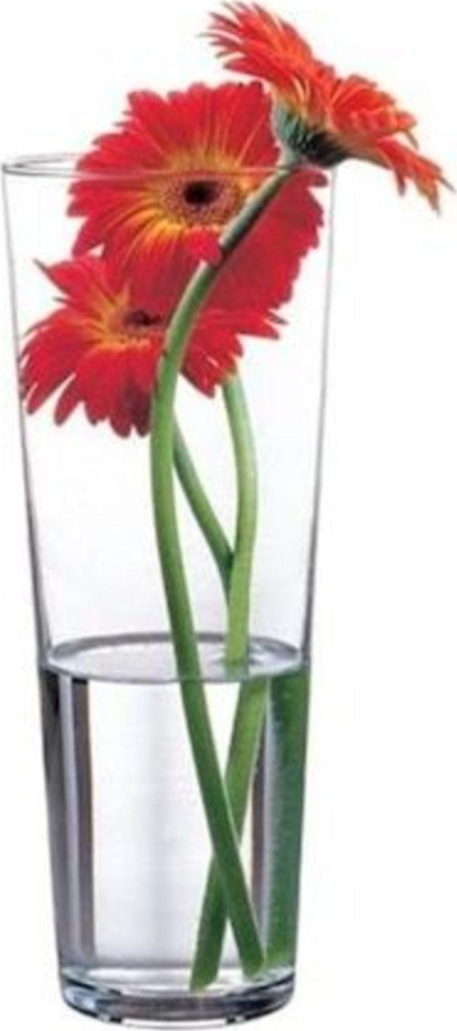 Paşabahçe cam vazo - botanica vazo 26 cm