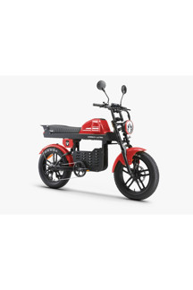 Ape Ryder GİBBON ULTRA PRO ELEKTRİKLİ BİSİKLET AYNA VE EL GAZI HEDİYELİ - Image 1