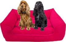 Mavi Vitrin Elite Köpek Yatağı Medium Orta Irklar Için 70X50 Cm - Image 1