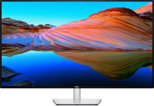 Dell U4924DW