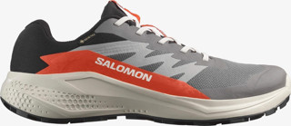 Salomon Alphaglide Gore-Tex Erkek Koşu Ayakkabısı