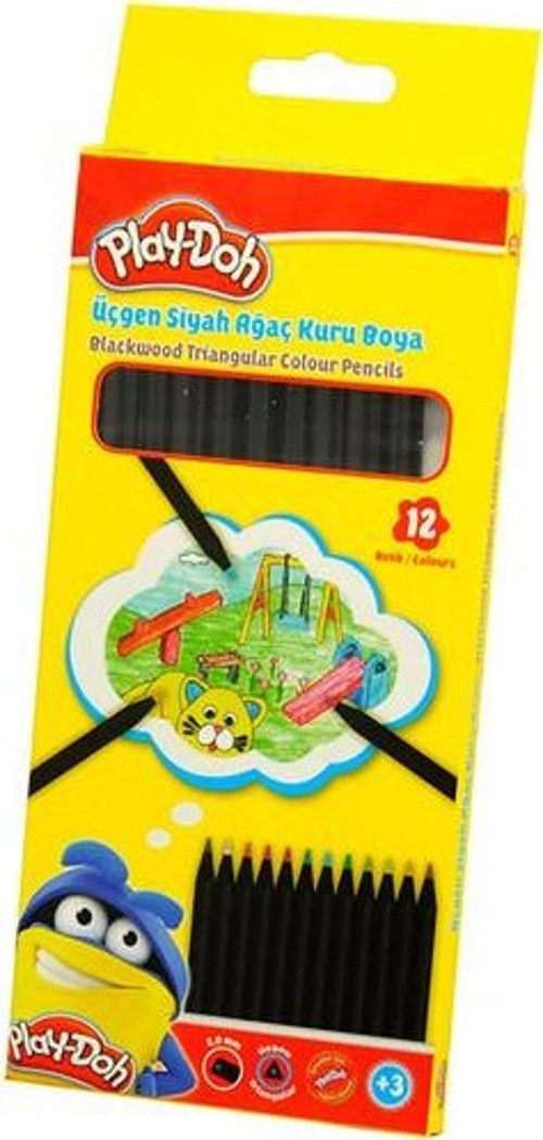 Kuruboya 12Renk Lata Siyah