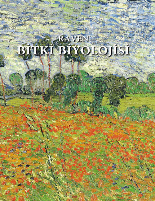 Palme Yayınevi Bitki Biyolojisi Raven