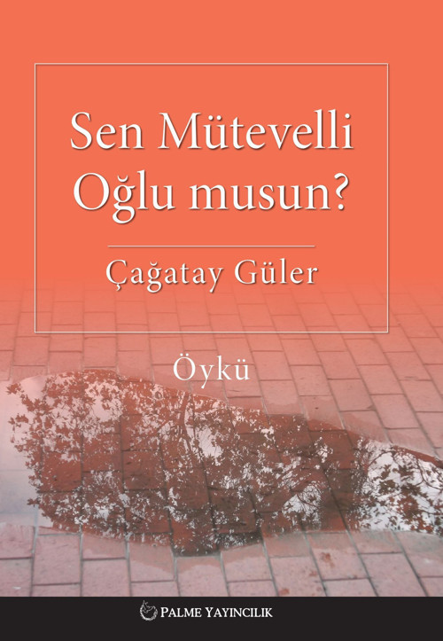 Palme Yayınevi Sen Mütevelli Oğlu Musun ? Öykü Kitabı