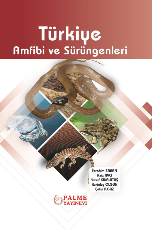 Palme Yayınevi Türkiye Amfibi Ve Sürüngenleri