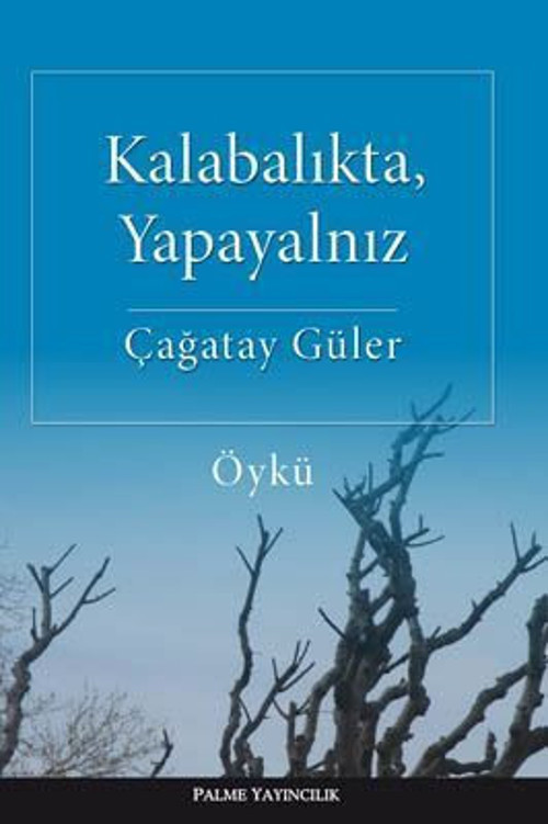 Palme Yayınevi Kalabalıkta, Yapayalnız Öykü Kitabı