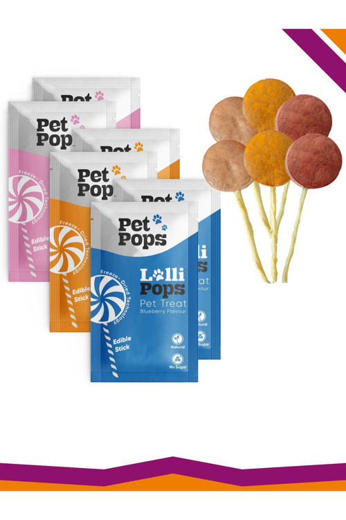 Lollipops Dondurularak Kurutulmuş Karışık Mix Lezzet Paketi Kedi Köpek Ödülü Lolipop 6'Lı Lolipopu