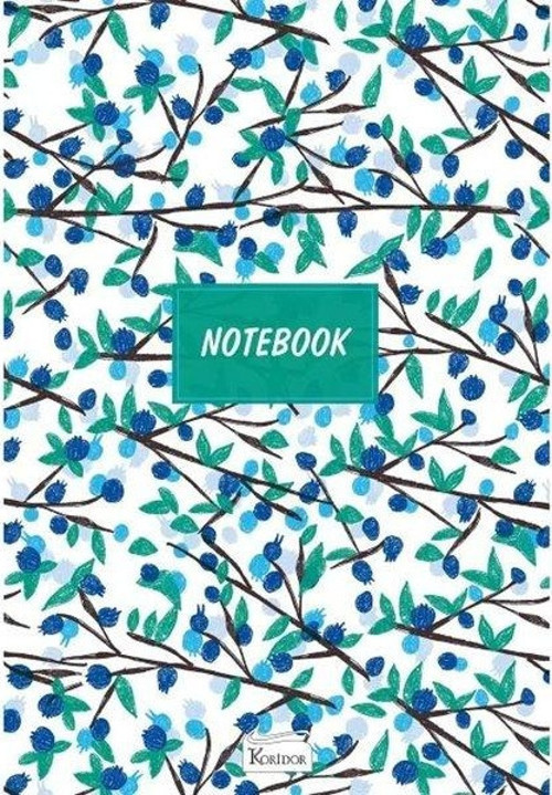 Kareli Defter 08