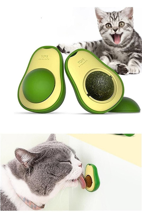 Avokado Kedi Nanesi Catmint Catnip Kedi Otlu Oyuncak Kedi Çimi Oyuncağı Avakado