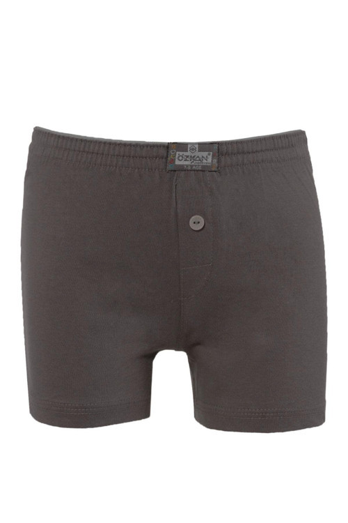 Erkek Çocuk Boxer Gri | K31223