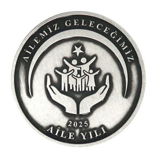 Aile Yılı Gümüş Sikke Coin