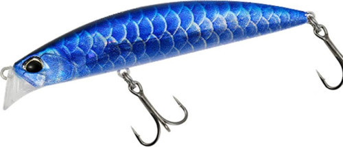 Beach Walker Axcion 95S AKA9999 Blue Arowana