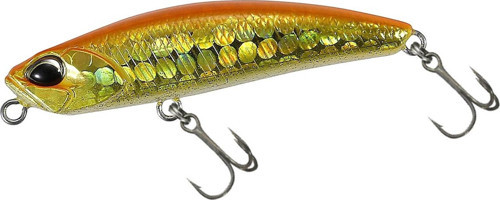 Tetra Works Yurameki AQA0314 Orange Gold Belly
