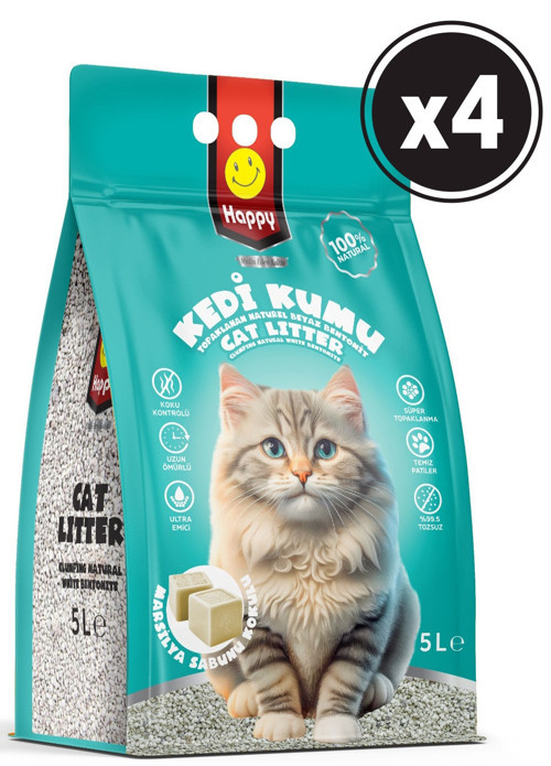 Clean Kedi Kumu marsilya Sabunu 5 lt x 4 Adet