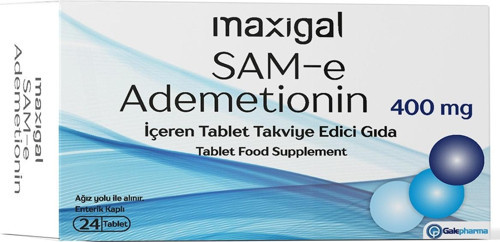 Sam-E (Ademetionin) 400 Mg 24 Tablet
