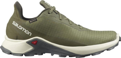 Alphacross 3 Gore-tex Erkek Patika Koşu Ayakkabısı 42