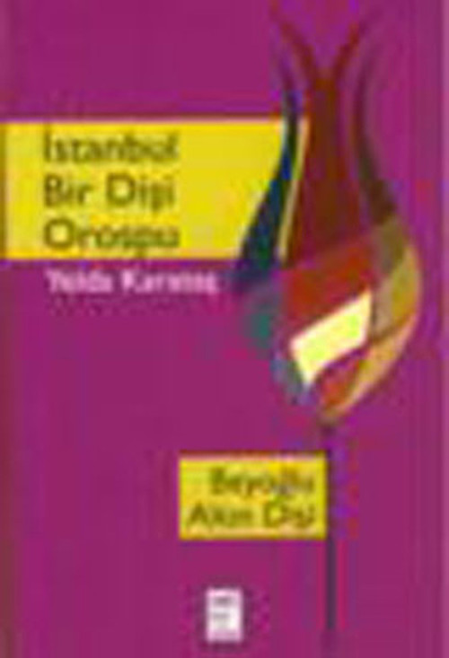 İstanbul Bir Dişi Orospu