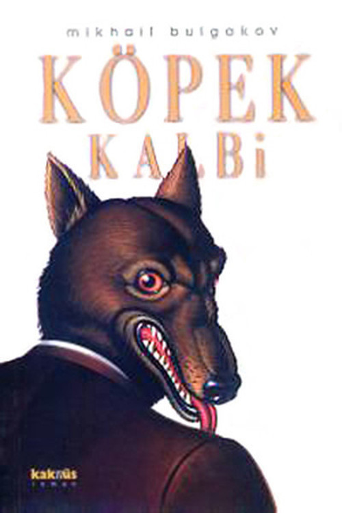 Kaknüs Yayınları Köpek Kalbi