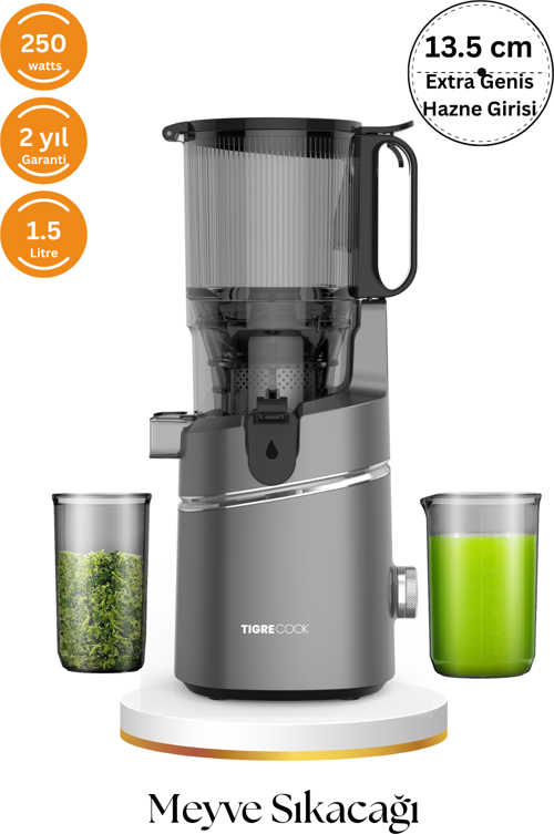 Slow Juicer Yavaş Sıkım Katı Meyve Sıkacağı Sorbe ve dondurma