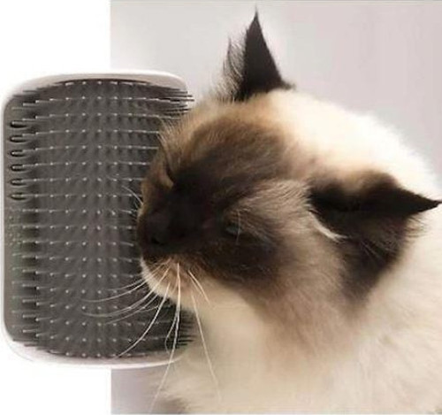 Kedi Köpek Kaşınma Sürtünme Tüy Tarama Masajı Köşe Kenar Fırça