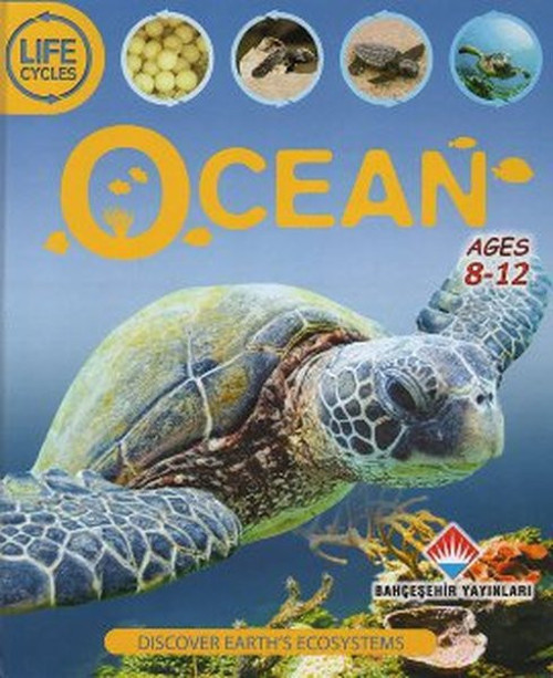 Life Cycles - Ocean