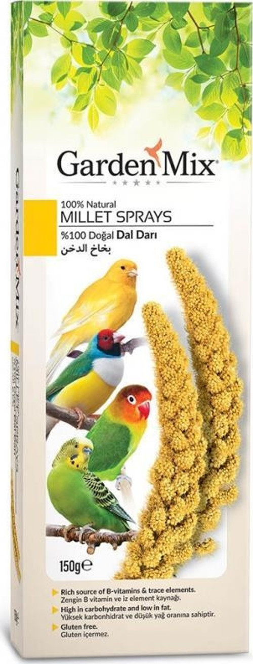 Platin Sarı Dal Darı 150Gr