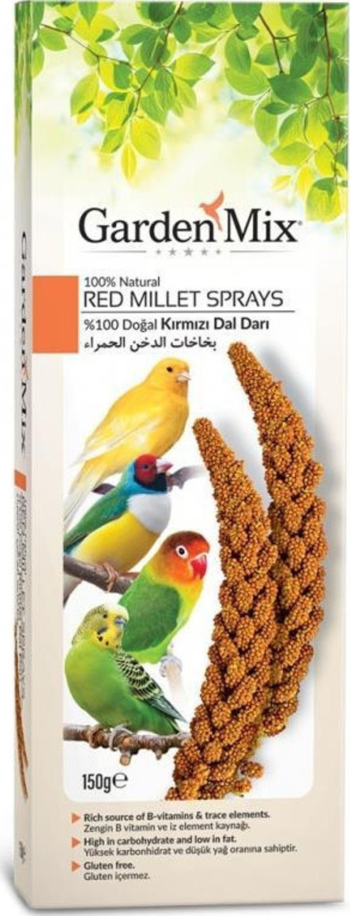 Platin Kırmızı Dal Darı 150 gr