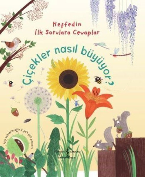 Çiçekler Nasıl Büyüyor?