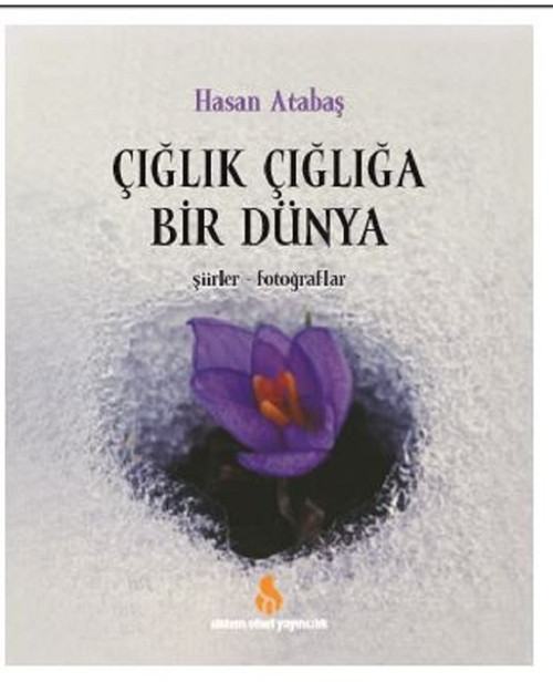 Çığlık Çığlığa Bir Dünya