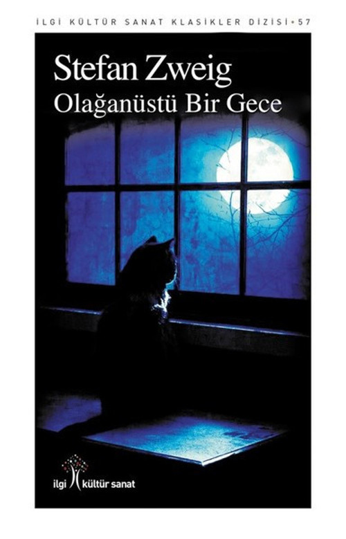 Olağanüstü Bir Gece