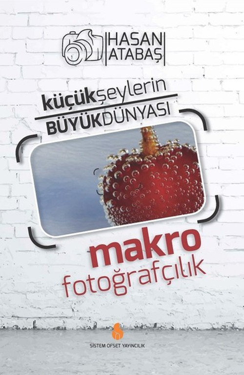 Küçük Şeylerin Büyük Dünyası