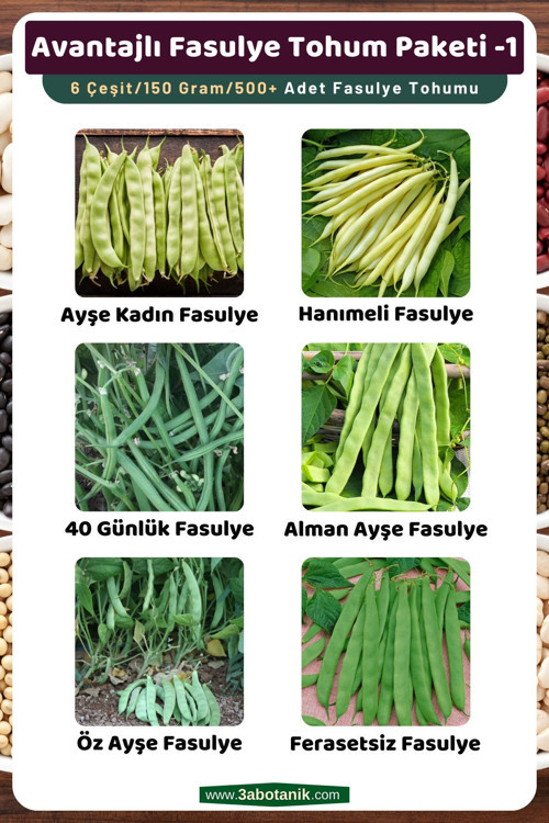Avantajlı Fasulye Tohum Paketi-1, Toplam 6 Çeşit/150 Gram/Takribi 500 Adet Fasulye Tohumu