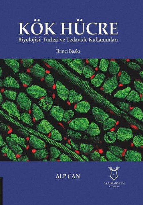 Kök Hücre Biyolojisi - Türleri ve Tedavide Kullanımları