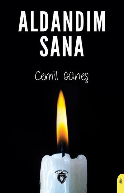 Dorlion Yayınevi Aldandım Sana