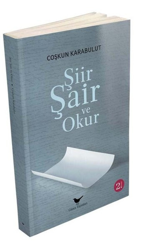 Şiir Şair ve Okur