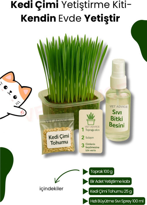 Kedi Otu Çimi Kiti – Evde Yetiştir, Pratik Ve Eğlenceli Set