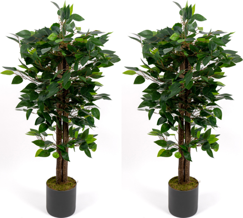 2’li Yapay Benjamin Ağacı Seti – 100 cm Gri Saksılı Dekoratif Salon & Ofis Bitkisi
