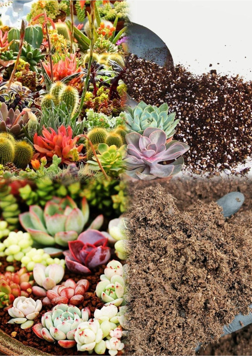 10 Litre Süper Organik Kaktüs Toprağı (17 Çeşit Ağaç Yaprağı Ve 3 Çeşit Hayvan Gübresi Karışımı)