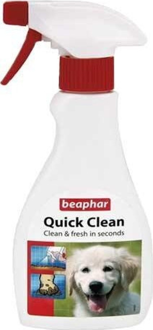 Quick Clean Koku Giderici Temizleme Spreyi 250 Ml