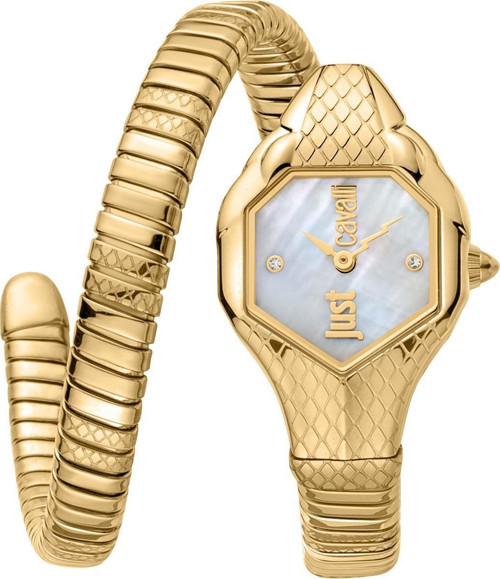 JUST CAVALLI JC1L190M0035 Kadın Kol Saati