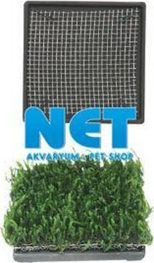 Bitki Tabanı Seramik 6.5 cm Kare