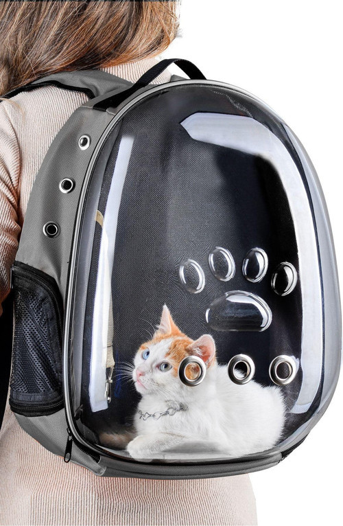 Kedi Taşıma Çantası Turuncu El Ve Sırt Çantası 9Hava Kanalı Kedi Taşıma Çantası