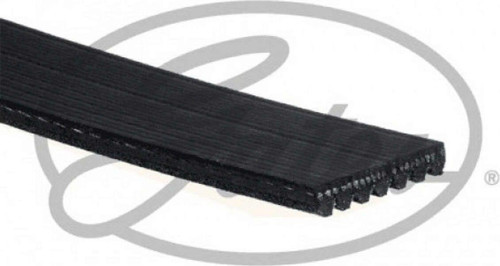 Kanallı V Kayışı Alfa Romeo, Chrysler, Dodge, Lancıa, Mercedes, Nıssan, Opel, Renault, T 612138