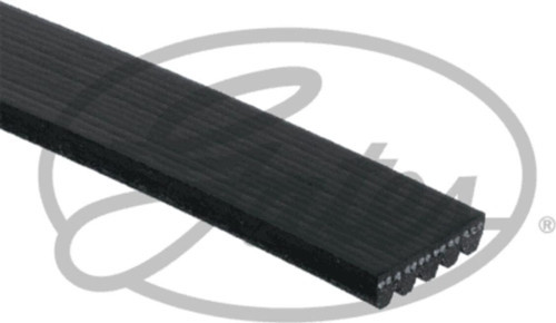 Kanallı Kayış Cıtroen-Pugeot-Toyota-Volvo Bmw Opel Trafıc Master 58375Gat-5Pk1123 5Pk1123 8200206889