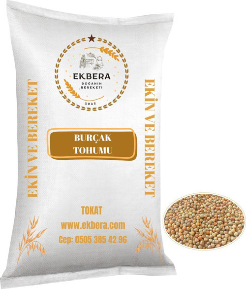 Burçak (Müdürmük) Tohumu 5 Kg | Ekimlik – Yemlik – Diyet Dostu – Çok Amaçlı