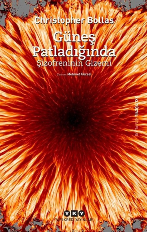 Güneş Patladığında Şizofrenin Gizemi