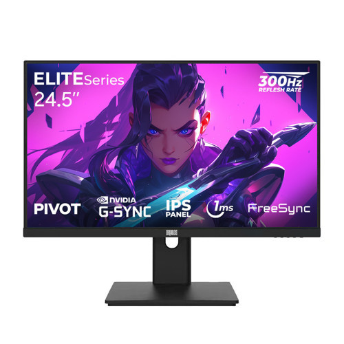 ELITESeries E245FHD300 0.5ms FHD 300Hz HDMI DP 1920*1080 24.5
