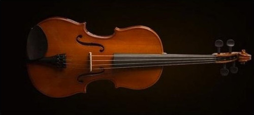 VA16041 VİOLA KUTULU 16 İNCH (40.64CM)