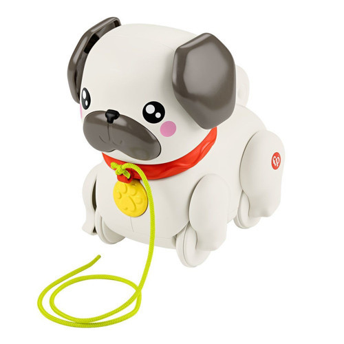 Spor35 HTW94 Fisher-Price Minik Dostumla Yürüyüş Kız Erkek Çocuk Oyuncak Eğitici Oyuncaklar