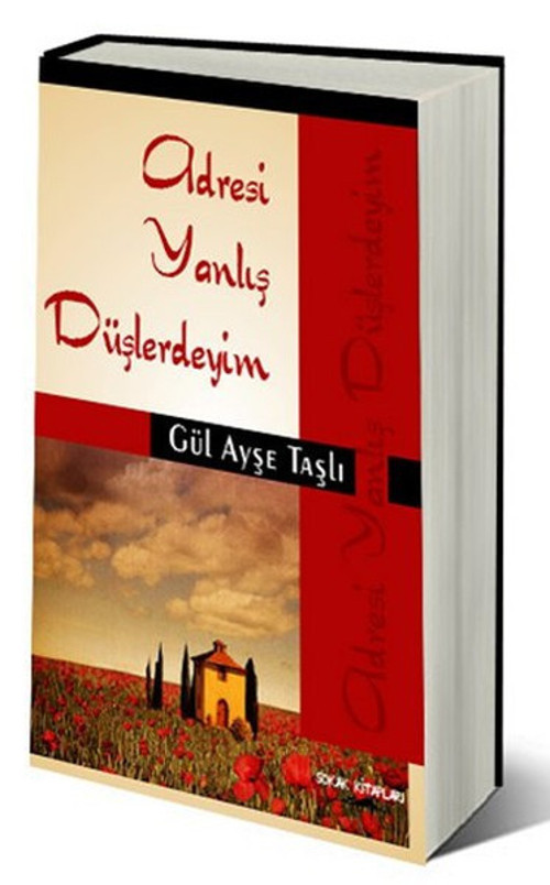 Adresi Yanlış Düşlerdeyim